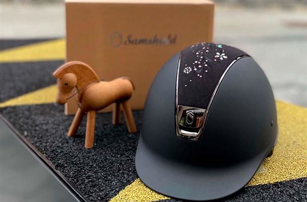 Er jagten også gået ind på din nye ridehjelm ?