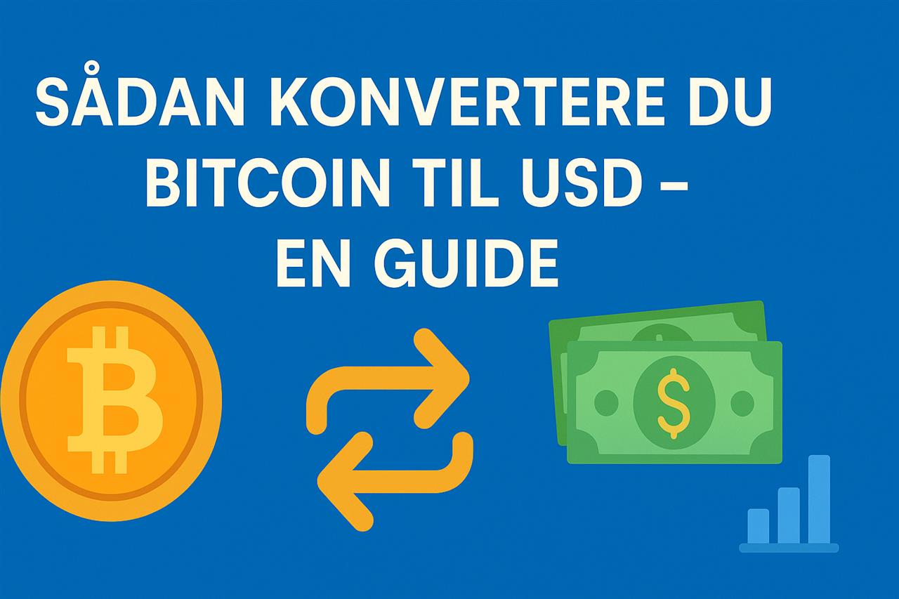 Sådan converter du bitcoin til usd - en guide